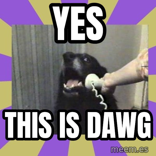 Yes, this is dog! meme: Yes / this is dawg