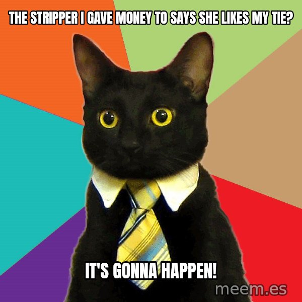 Business Cat meme: The stripper i gave money to says she likes my tie? / it's gonna happen!