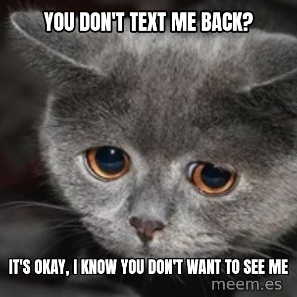 Sadcat meme: You don't text me back? / It's okay, i know you don't want to see me