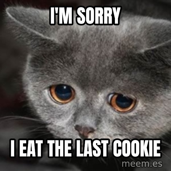 Sadcat meme: i'm sorry / i eat the last cookie
