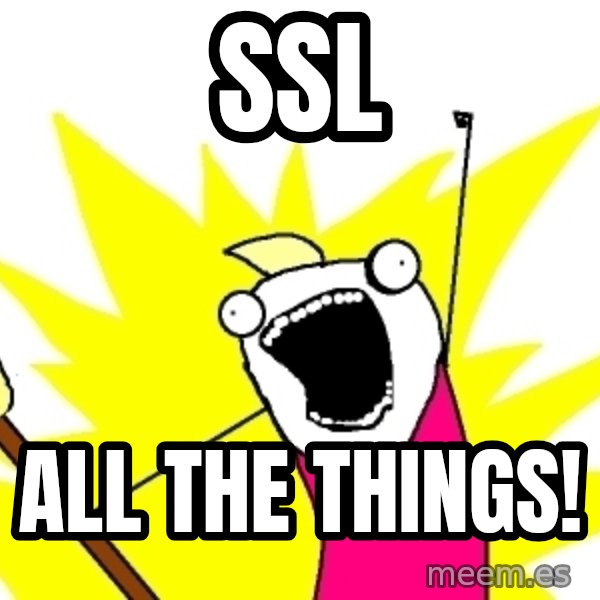 X ALL THE THINGS meme: SSL / ALL THE THINGS!