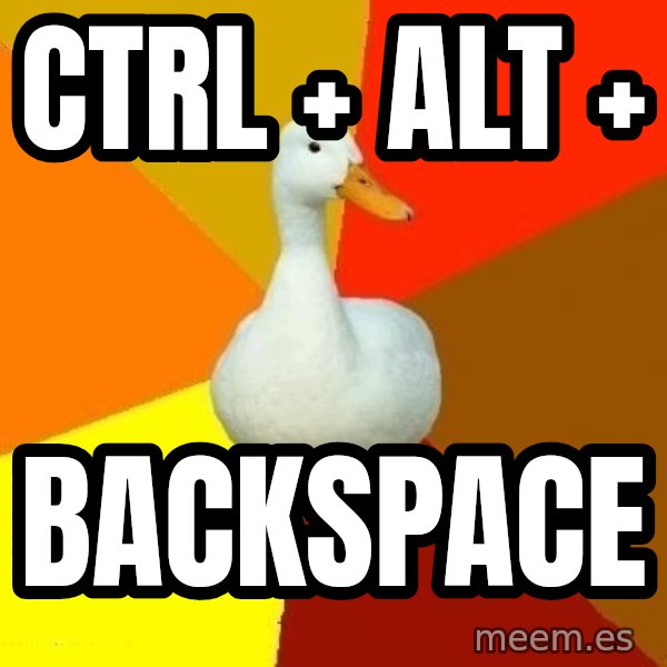 Technologically Impaired Duck meme: ctrl + alt + / backspace