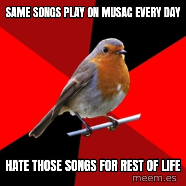 Retail Robin meme: same songs play on musac every day / hate those songs for rest of life