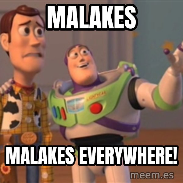 Tseverywhere meme: MALAKES / MALAKES EVERYWHERE!