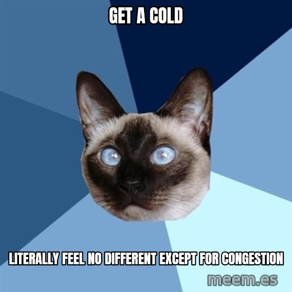Chronic Illness Cat meme: Get a cold / Literally feel no different except for congestion
