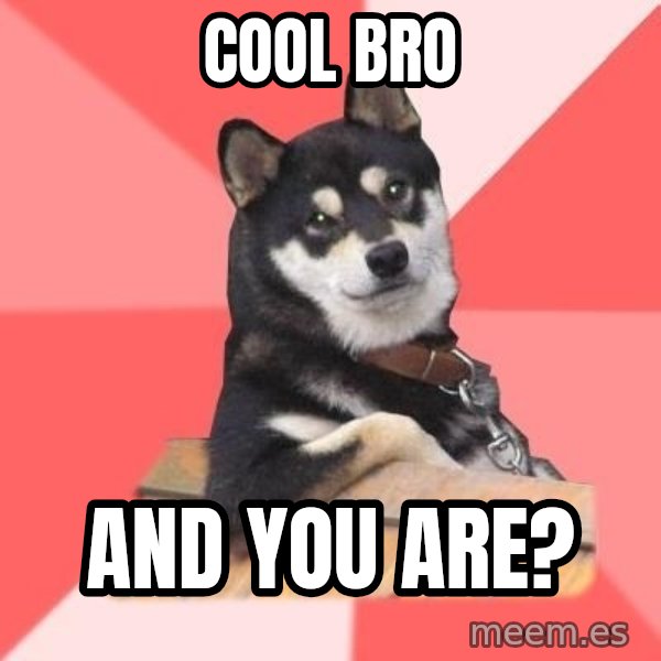 Cool Dog meme: cool bro / and you are?