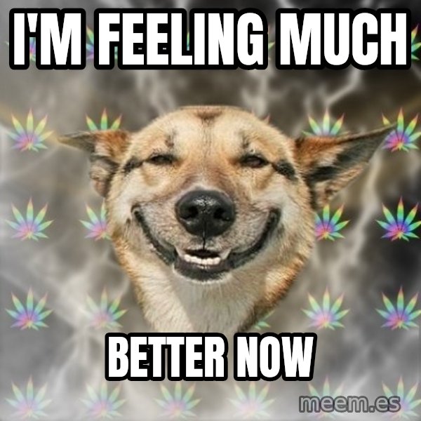 Stoner Dog meme: I'm Feeling Much / Better Now
