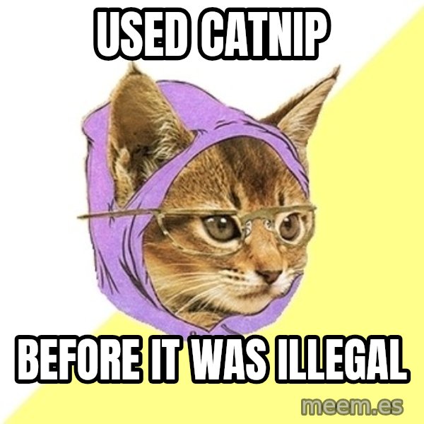 Hipster Kitty meme: used catnip / before it was illegal