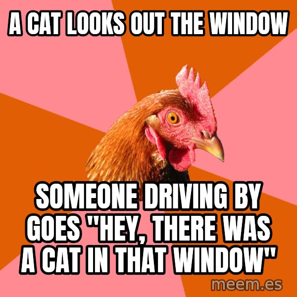 Anti Joke Chicken meme: a cat looks out the window / someone driving by goes "hey, there was a cat in that window"