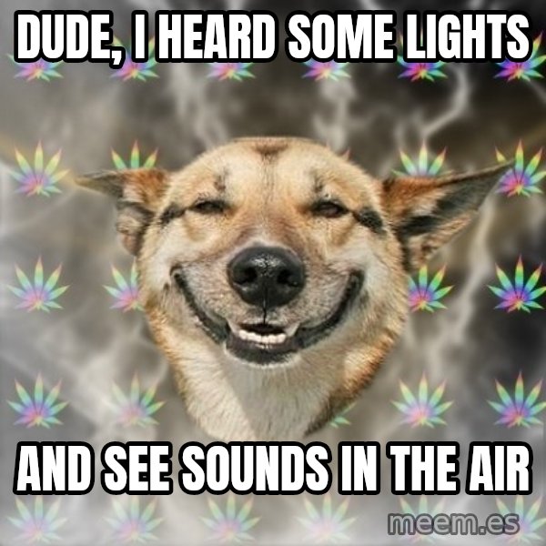 Stoner Dog meme: DUDE, i heard some lights / and see sounds in the air