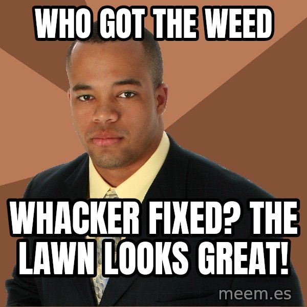 Successful Black Man meme: who got the weed / whacker fixed? the lawn looks great!
