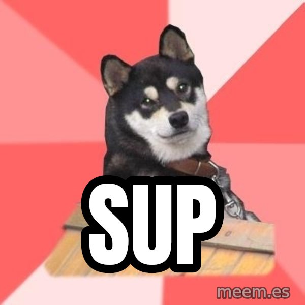 Cool Dog meme: sup