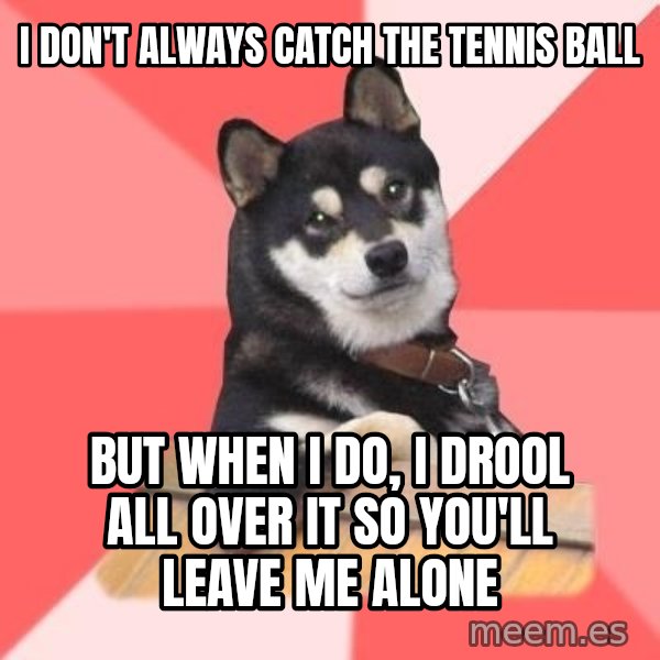 Cool Dog meme: i don't always catch the tennis ball / but when i do, i drool all over it so you'll leave me alone