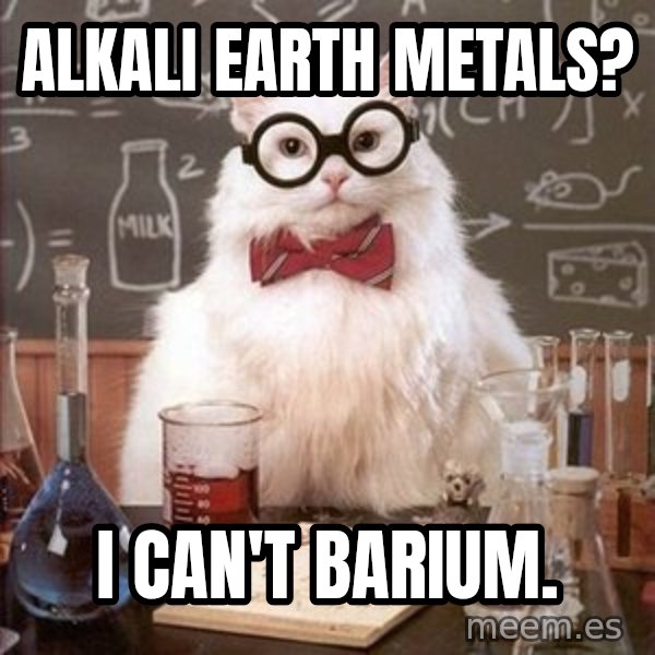 Chemistry Cat meme: Alkali Earth Metals? / I can't Barium.