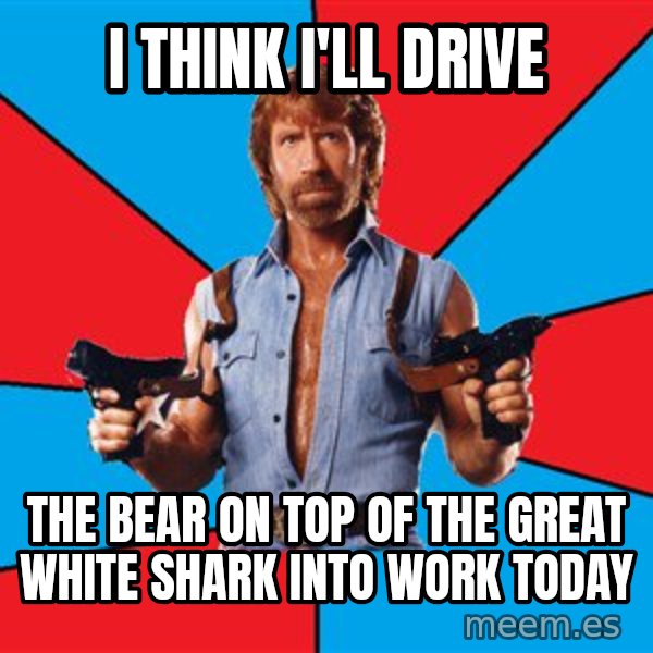 Chuck Norris  meme: I think I'll drive / the bear on top of the great white shark into work today