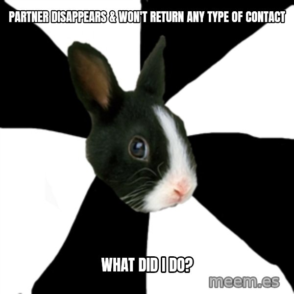 Roleplaying Rabbit meme: Partner DISAPPEARS & won't return any type of contact / What did I do?