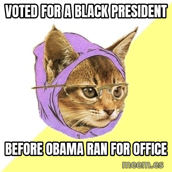 Hipster Kitty meme: Voted for a black president / Before obama ran for office