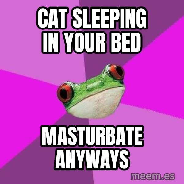 Foul Bachelorette Frog meme: cat sleeping in your bed / masturbate anyways
