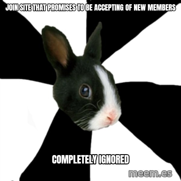 Roleplaying Rabbit meme: JOIN SITE THAT PROMISES TO BE ACCEPTING OF NEW MEMBERS / COMPLETELY IGNORED