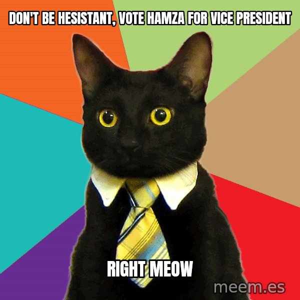 Business Cat meme: Don't be hesistant, Vote hamza for vice president / right meow