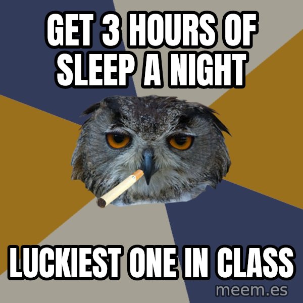 Art Student Owl meme: get 3 hours of sleep a night / luckiest one in class