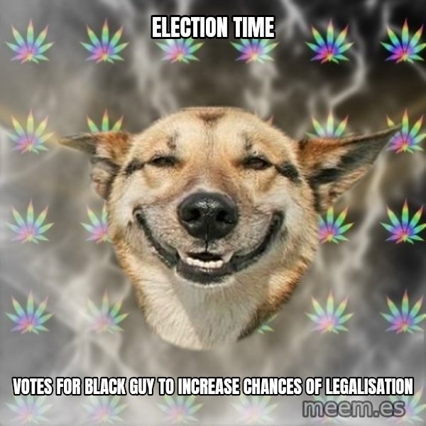 Stoner Dog meme: election time / votes for black guy to increase chances of legalisation