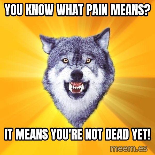 Courage Wolf meme: you know what pain means? / It means you're not dead yet!
