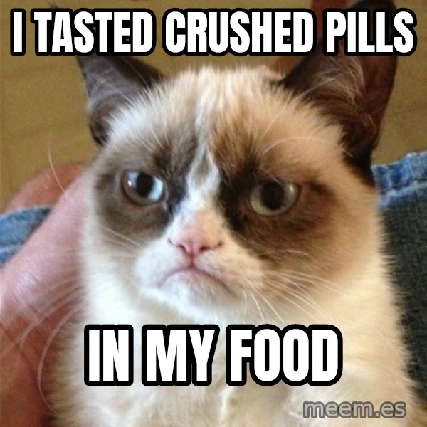 Grumpy Cat  meme: i tasted crushed pills / in my food