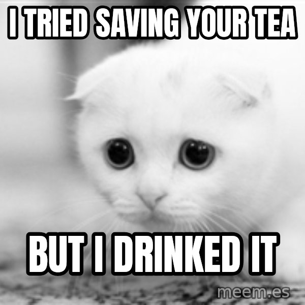 Sadcat meme: I tried saving your tea / but I drinked it
