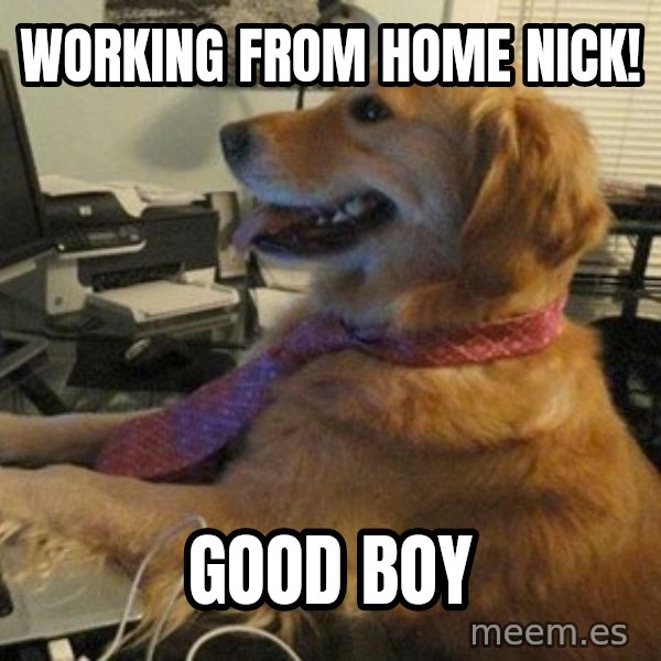 I have no idea what I'm doing - Dog with Tie meme: WORKING FROM HOME NICK! / GOOD BOY