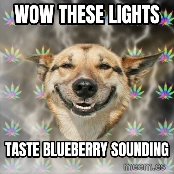 Stoner Dog meme: wow these lights / taste blueberry sounding