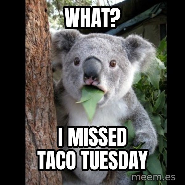 Koala can't believe it meme: WHAT? / I MISSED TACO TUESDAY