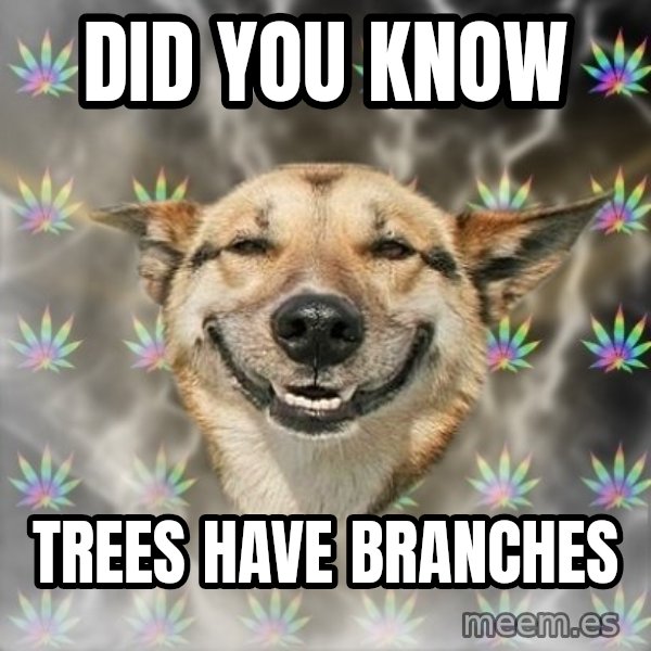 Stoner Dog meme: did you know / trees have branches