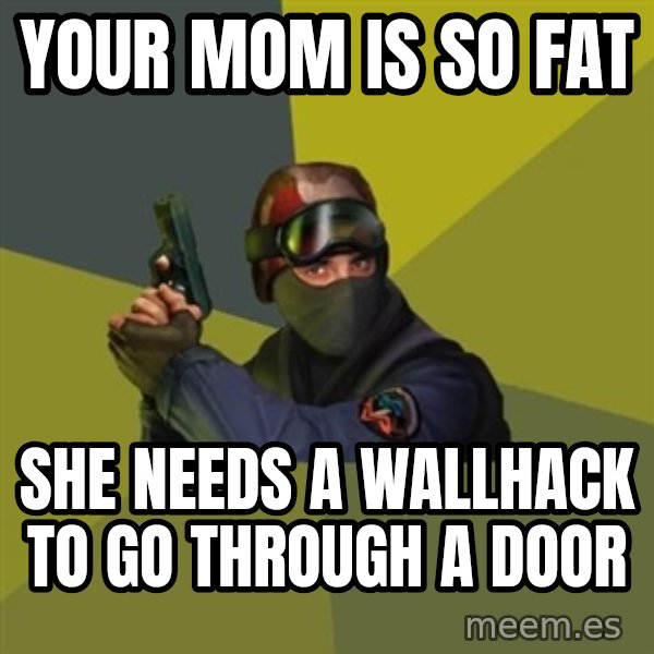 Counter Strike meme: Your mom is so fat / she needs a wallhack to go through a door