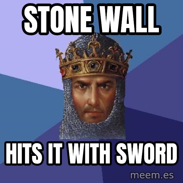 Age Of Empires meme: STONE WALL / HITS IT WITH SWORD