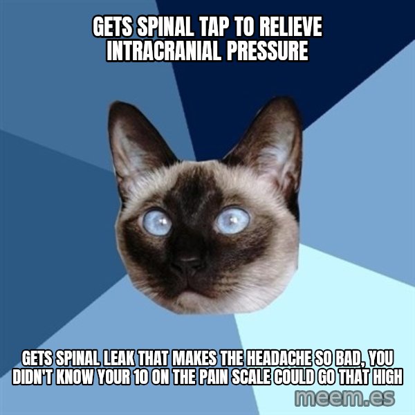 Chronic Illness Cat meme: gets spinal tap to relieve intracranial pressure / gets spinal leak that makes the headache so bad, you didn't know your 10 on the pain scale could go that high