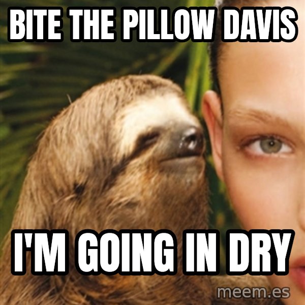 The Rape Sloth meme: Bite the pillow davis / i'm going in dry