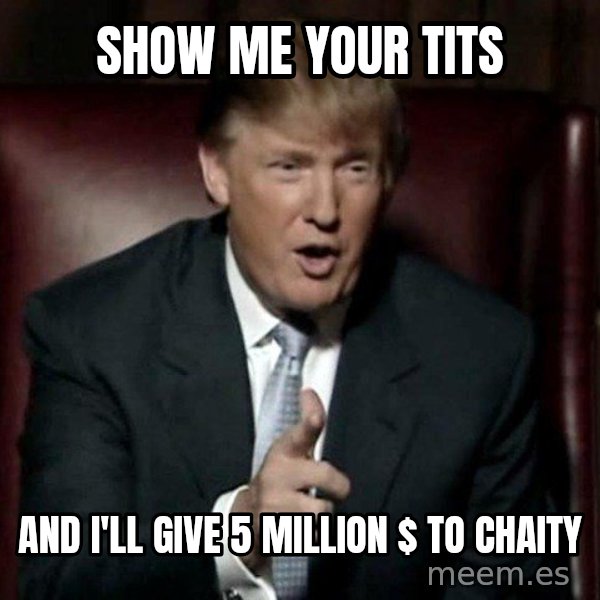 Donald Trump meme: Show me your tits / and i'll give 5 million $ to chaity