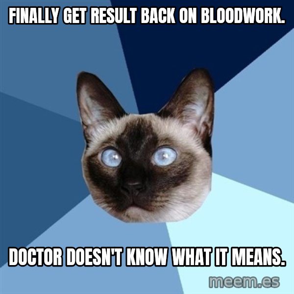 Chronic Illness Cat meme: Finally get result back on bloodwork. / Doctor doesn't know what it means.