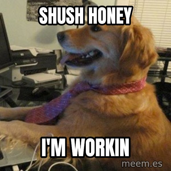 I have no idea what I'm doing - Dog with Tie meme: SHUSH HONEY / I'M WORKIN