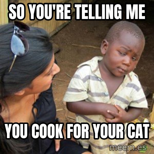 Skeptical 3rd World Kid meme: so you're telling me / you cook for your cat
