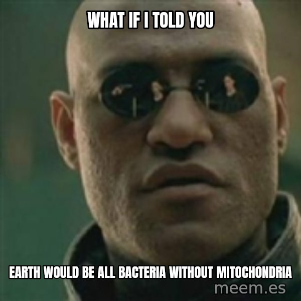 Scumbag Morpheus meme: what if i told you / earth would be all bacteria without mitochondria