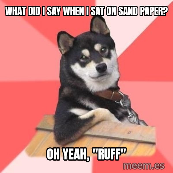 Cool Dog meme: what did i say when i sat on sand paper? / oh yeah, "ruff"