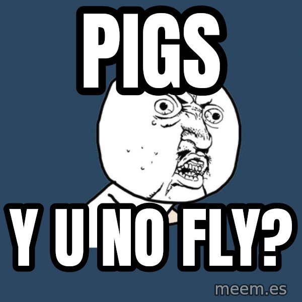 Y U No meme: pigs / y u no flY?