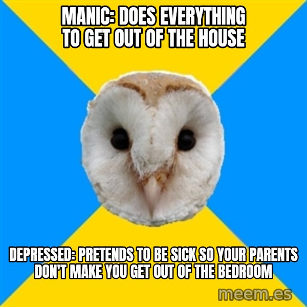 Bipolar Owl meme: Manic: does everything to get out of the house / depressed: pretends to be sick so your parents don't make you get out of the bedroom