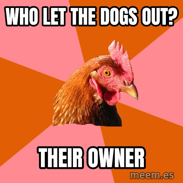 Anti Joke Chicken meme: Who Let the Dogs Out? / Their Owner