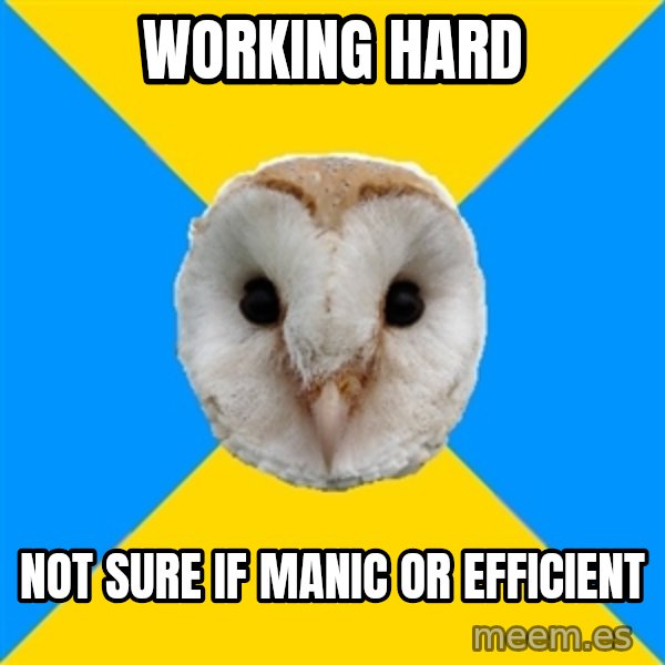 Bipolar Owl meme: working hard / not sure if manic or efficient