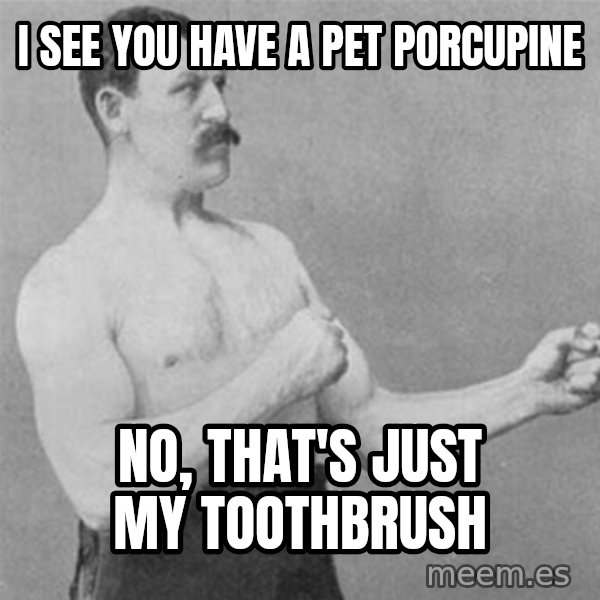 overly manlyman meme: I see you have a pet porcupine / no, that's just my toothbrush
