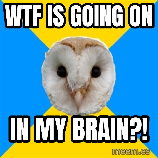 Bipolar Owl meme: WTF IS GOING ON / IN MY BRAIN?!