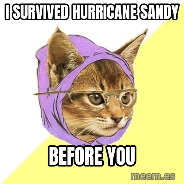 Hipster Kitty meme: I survived hurricane sandy / before you